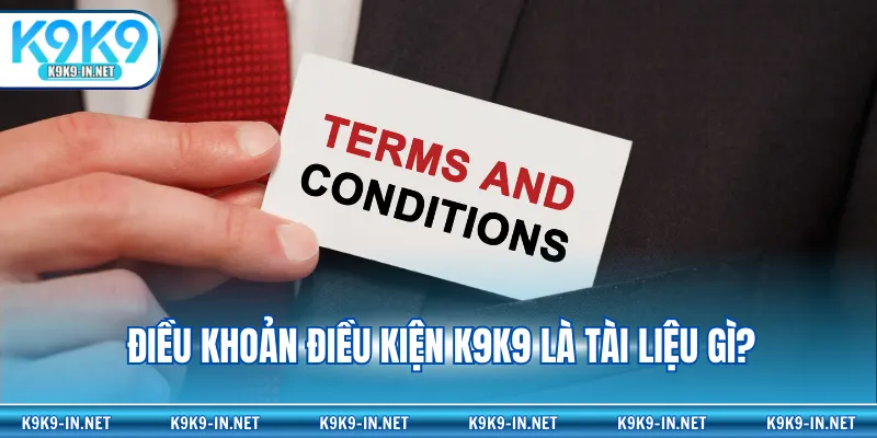 Điều khoản điều kiện K9K9 là tài liệu gì?